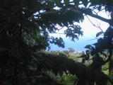 Hamstead, St. Ann, Jamaica - Residential lot for Sale